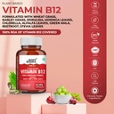 the-body-reserve-plant-based-vitamin-b12-71o15t7ztIL.jpg