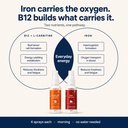 vitamin-b12-iron-oral-spray-combo-2x30ml-61YOVHRf7HL.jpg