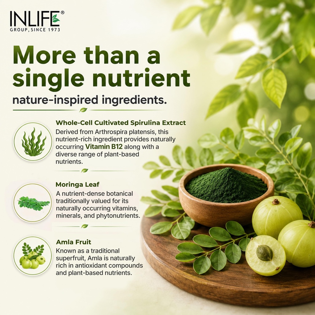 inlife-plant-based-vitamin-b12-supplemen-81p-7tIat9L.jpg