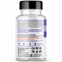 oxin-nutrition-l-phenylalanine-500-mg-su-61c0qhGusiL.jpg