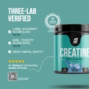 sparkfusion-micronized-creatine-monohydr-718TCtMjb-L.jpg