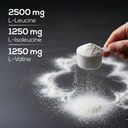 muscle-asylum-bcaa-powder-muscle-recover-61KoTRsEXvL.jpg