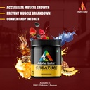 creatine-creatine-supplement-for-muscle--71HpVV7KfpL.jpg