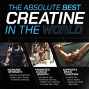 creatine-creatine-supplement-for-muscle--71+XdPQDfpL.jpg
