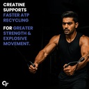 carbamide-forte-micronised-creatine-mono-61PJh5OTjXL.jpg