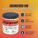 cellucor-creatine-cor-performance-mango--71omg0dIOfL.jpg