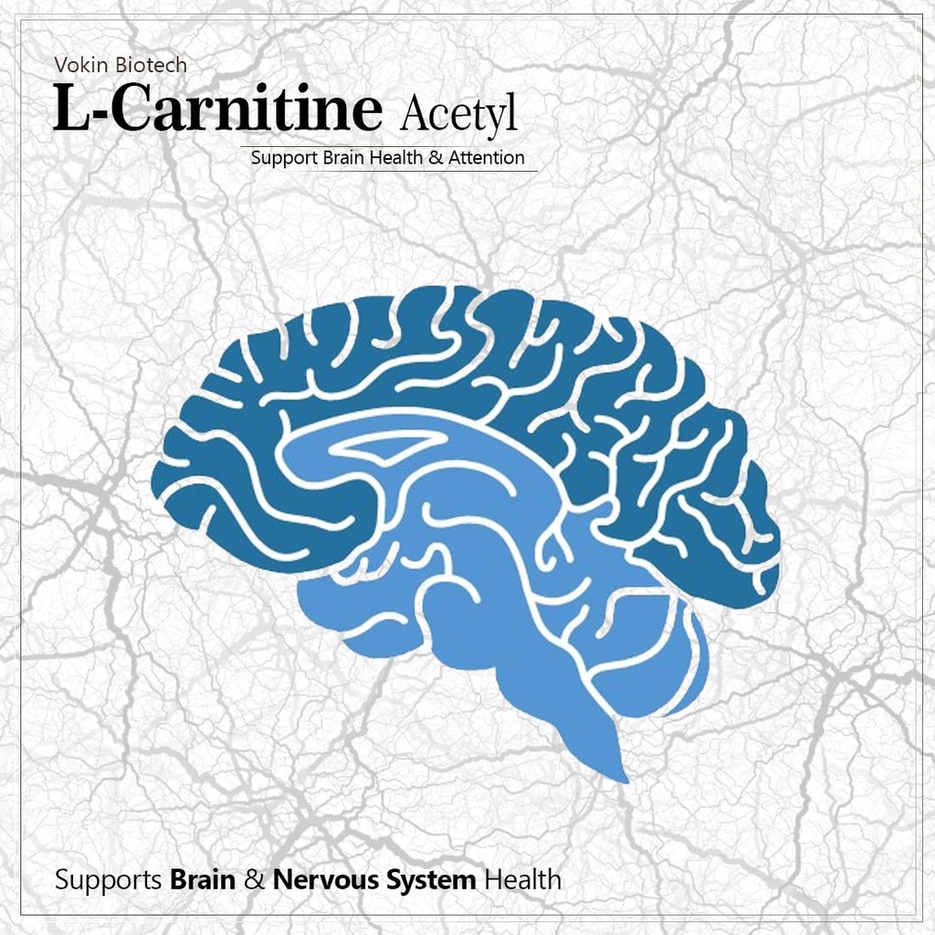 vokin-biotech-l-carnitine-acetyl-alcar-s-71L-fF1Rs4L.jpg