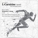 vokin-biotech-l-carnitine-acetyl-alcar-s-71hpYMMGF9L.jpg