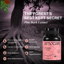 amocare-chewable-tablets-for-men-l-argin-91iZcER8M+L.jpg