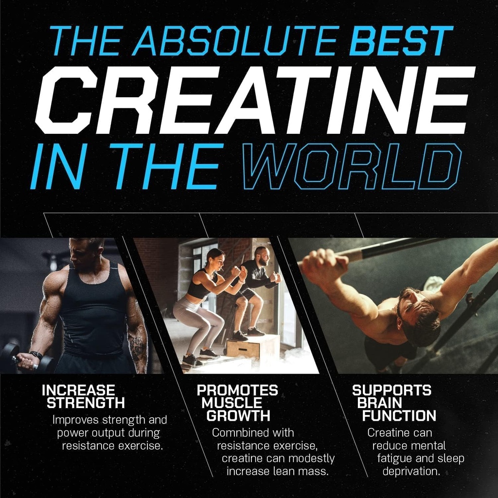 impact-creatine-monohydrate-powder-post--71+XdPQDfpL.jpg