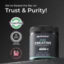 nutrabay-pure-micronised-creatine-monohy-71uZwxeNBTL.jpg