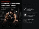 performance-recovery-bundle-creatine-mag-51vSjLHa4PL.jpg