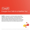 decode-age-coq10-coenzyme-q10-with-piper-718lhNgAhUL.jpg