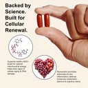 nad-supplement-with-resveratrol-600mg-ni-81qchA5Pq3L.jpg