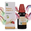 dr-willmar-schwabe-berberis-vulgaris-mot-712Ln6UPJZL.jpg