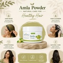 mystiq-living-amla-powder-edible-indian--71j4umRD0fL.jpg