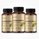 jiva-ashwagandha-tablet-120-tablets-ayur-71Cg8Cph81L.jpg