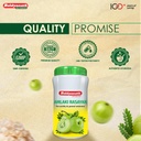 baidyanath-amlaki-rasayan-ayurvedic-supp-61emi8ezpXL.jpg