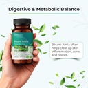 merlion-naturals-bhumi-amla-tablets-phyl-81YxxYxrQlL.jpg