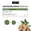 kapiva-shilajit-gold-60-capsules-ksm-66--71dRrglMavL.jpg