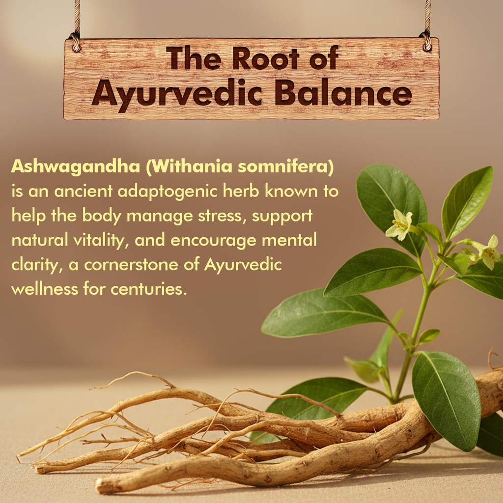 baidyanath-ayurved-ashwagandha-tablets-6-71uJ6+dS+kL.jpg