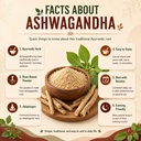 saptamveda-premium-organic-ashwagandha-p-71XSrXiz2XL.jpg