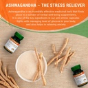 sunova-anti-stress-capsules-herbal-stres-81FiNO-KvkL.jpg