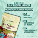 giloy-tulsi-amla-powder-100g-herbal-immu-71wedCF7rdL.jpg