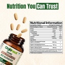organic-ashwagandha-caplets-2100mg-usda--81gZUg2rZmL.jpg