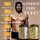grizzly-nutrition-true-endure-300g-bcaa--A1htSlOEWlL.jpg