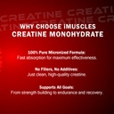 creatine-monohydrate-unflavoured-100-pur-61iprNb7BIL.jpg