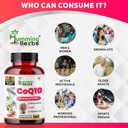 humming-herbs-coq10-supplement-7-in-1-wi-81WrfKQIkfL.jpg