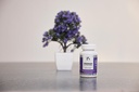 glutathione-complex-advanced-antioxidant-61lI+cYQ9WL.jpg