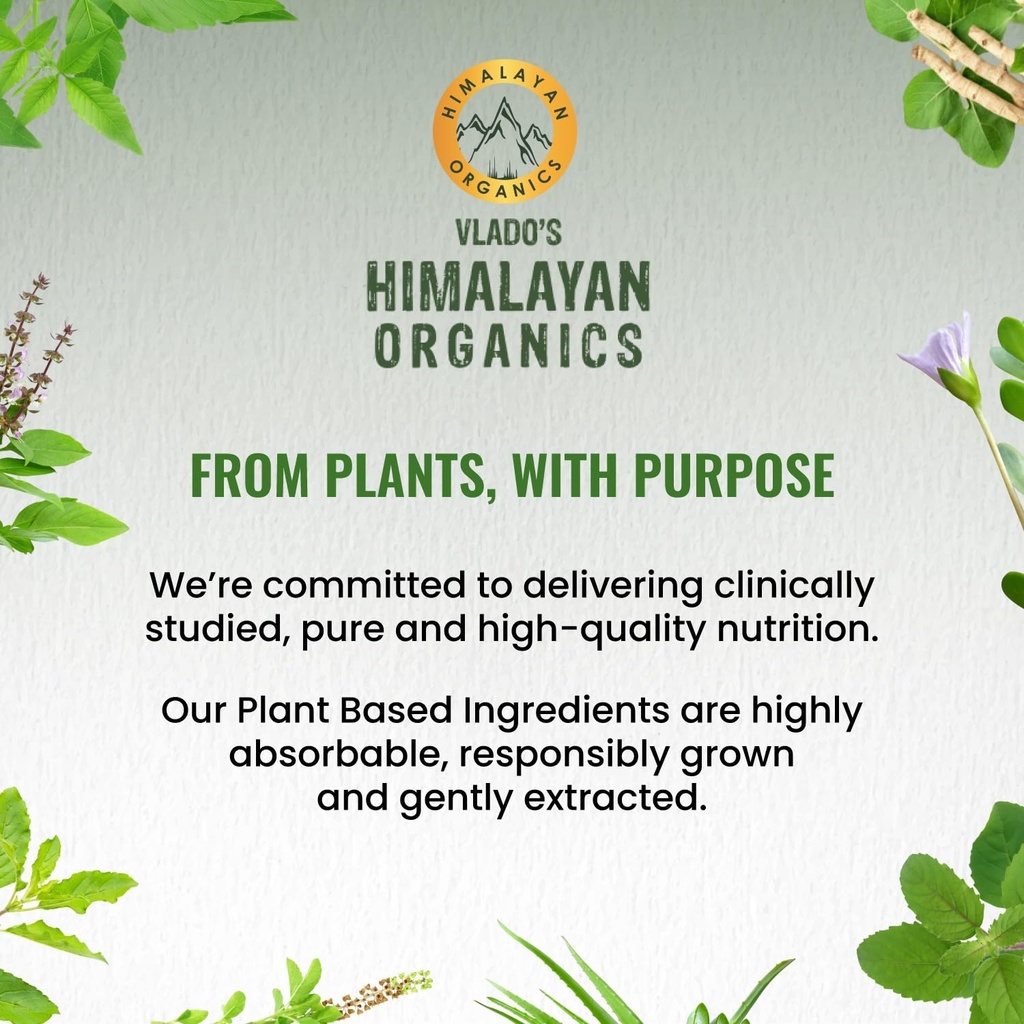 vlado-s-himalayan-organics-ashwagandha-g-71TJI5IEB9L.jpg