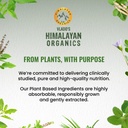 vlado-s-himalayan-organics-ashwagandha-g-71TJI5IEB9L.jpg