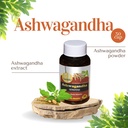 ayurveda-ashwagandha-30-capsules-81949X0obQL.jpg