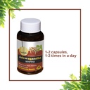 ayurveda-ashwagandha-30-capsules-71QvQoGwlnL.jpg
