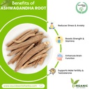ayurdanta-herbsaswaganha-ashwagandha-raw-71ibN26mLEL.jpg