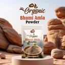 bhumi-amla-powder-100g-organic-bhumi-aml-61TVwaujXXL.jpg