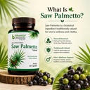 bhumija-lifesciences-saw-palmetto-460mg--71TwHlwpo9L.jpg