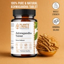 plants-petals-ashwagandha-tablets-60-tab-81Qts5eanML.jpg
