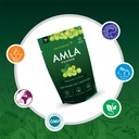 herb-essential-pure-amla-powder-100g-ayu-71eVip0IyAL.jpg
