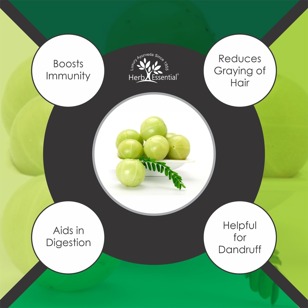 herb-essential-pure-amla-powder-100g-ayu-61vkdKgt-tL.jpg