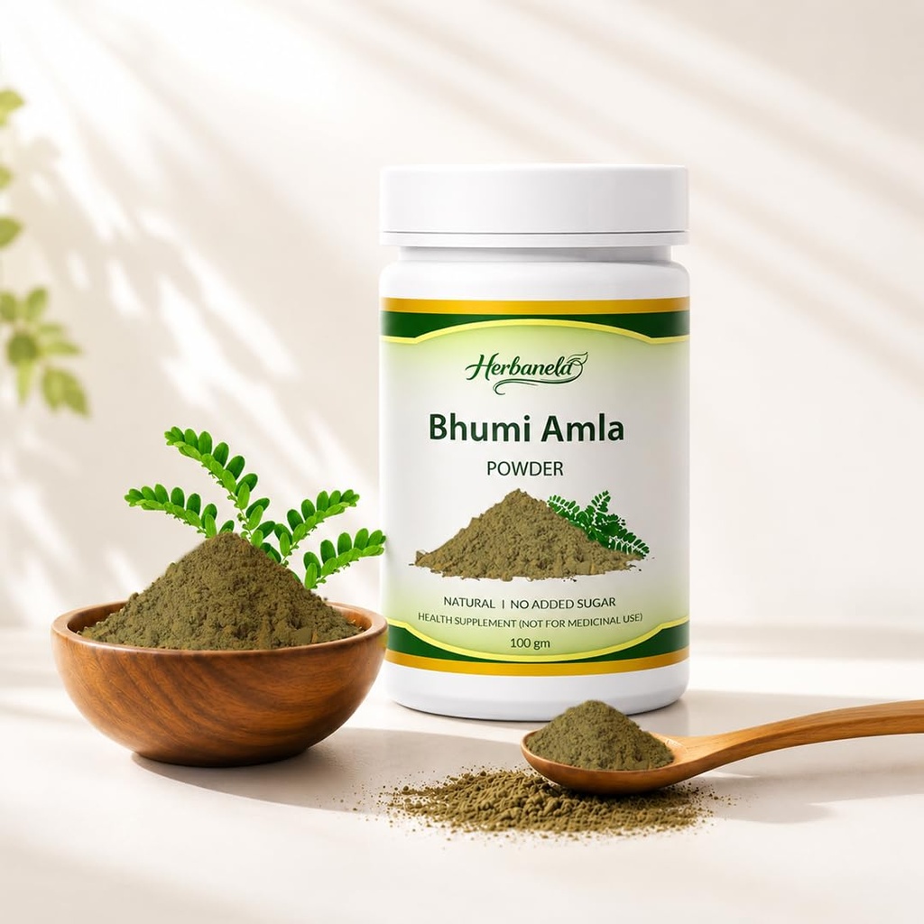 bhumi-amla-powder-premium-herbal-powder--613vc9n+8iL.jpg