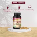 jagat-pharma-ashwagandha-250-mg-helps-bo-61Tr480ZQkL.jpg