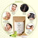 vegetal-amalaki-churna-180g-amla-powder--71bMv-dk7-L.jpg