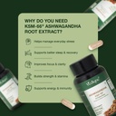 ksm-66-ashwagandha-500-mg-60-veg-capsule-619jg9DreAL.jpg