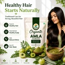amla-powder-indian-gooseberry-amalaki-ne-71TQlWcIqYL.jpg