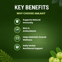 pure-nutrition-amalaki-tablets-amla-tabl-61BJ3ml56KL.jpg