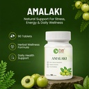 pure-nutrition-amalaki-tablets-amla-tabl-61oOwkL2cnL.jpg
